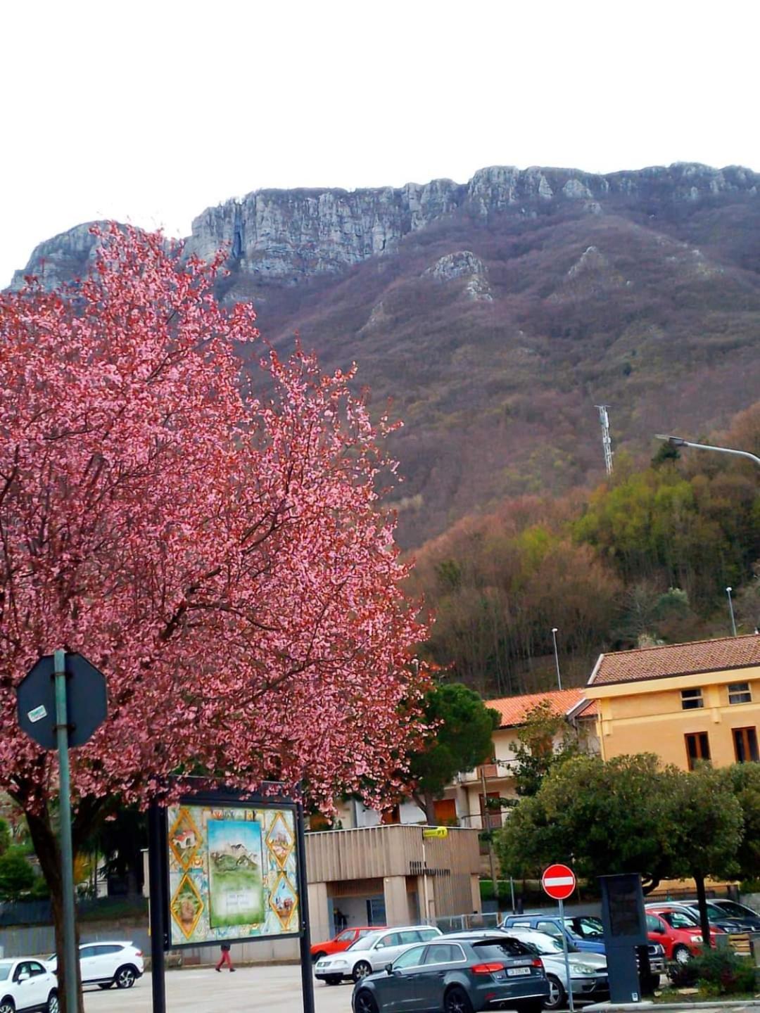 Sapori E Sapere Di Troisi Margherita Sicignano degli Alburni エクステリア 写真